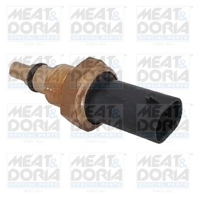Sensor, fuel temperature
